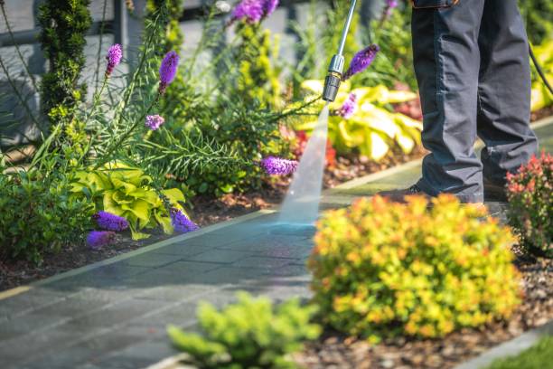 Best Fence Cleaning  in Fall River, WI