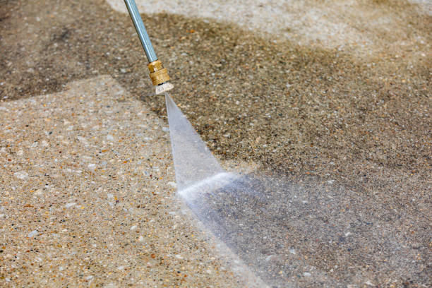 Best Roof Washing  in Fall River, WI