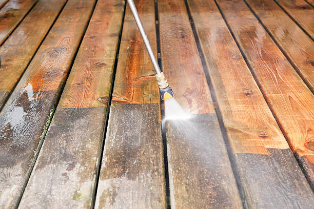Best Animal Enclosure Cleaning  in Fall River, WI